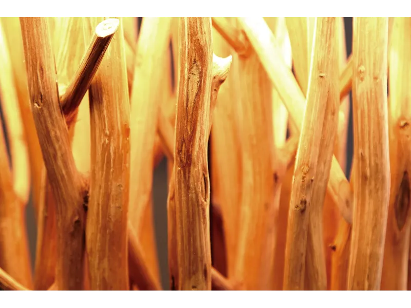 Lampadaire design 175 cm en bois flotté coloris blanc