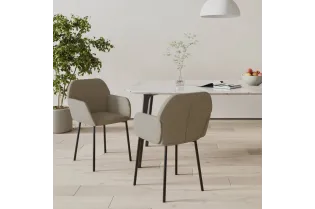 Chaises à manger lot de 2 Gris clair Velours