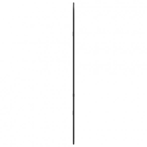 Miroir mural Noir 80x35 cm Ovale