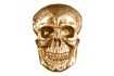 Sculpture murale design crâne humain en aluminium coloris doré Figu...