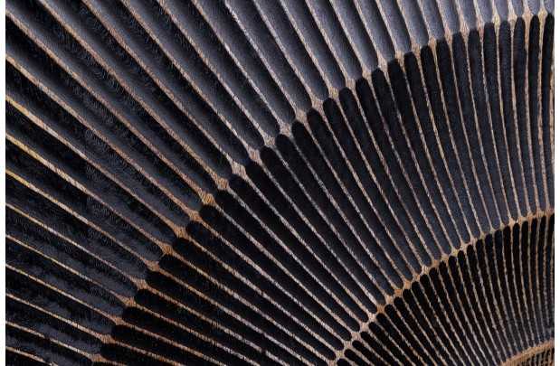 Armoire en  bois massif sculpté scorpion coloris noir 141cm pas cher