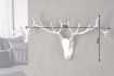 Trophée mural design Tête de Cerf 90 cm en aluminium argenté Objets...