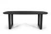 Table Tommy 220x100 cm – Design Ovale Danois Noir & Pieds U Modulables