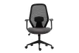 Fauteuil de Bureau Ergonomique, avec accoudoirs réglables et Tissu en Maille, idéale comme Chaise de Joueur coloris gris