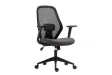 Fauteuil de Bureau Ergonomique, avec accoudoirs réglables et Tissu en Maille, idéale comme Chaise de Joueur coloris gris