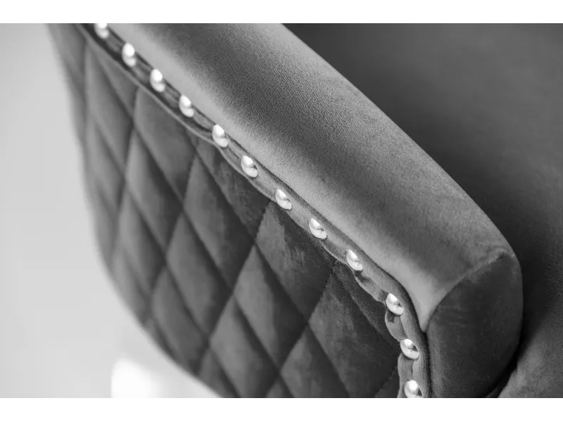 Lot de 2 Chaises de château en velours gris roi en acier inoxydable, tête de lion