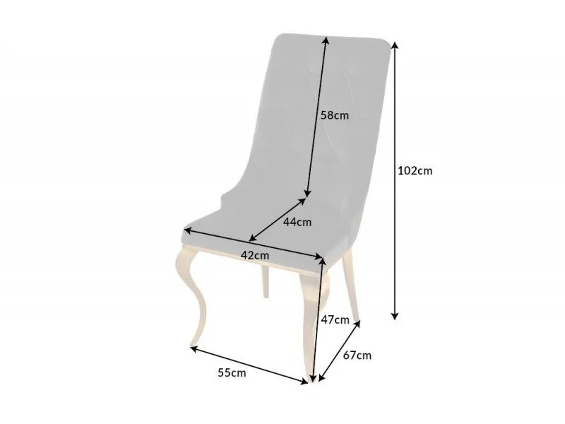 Lot de 2 Chaises de château en velours noir piètement en acier inoxydable, tête de lion doré