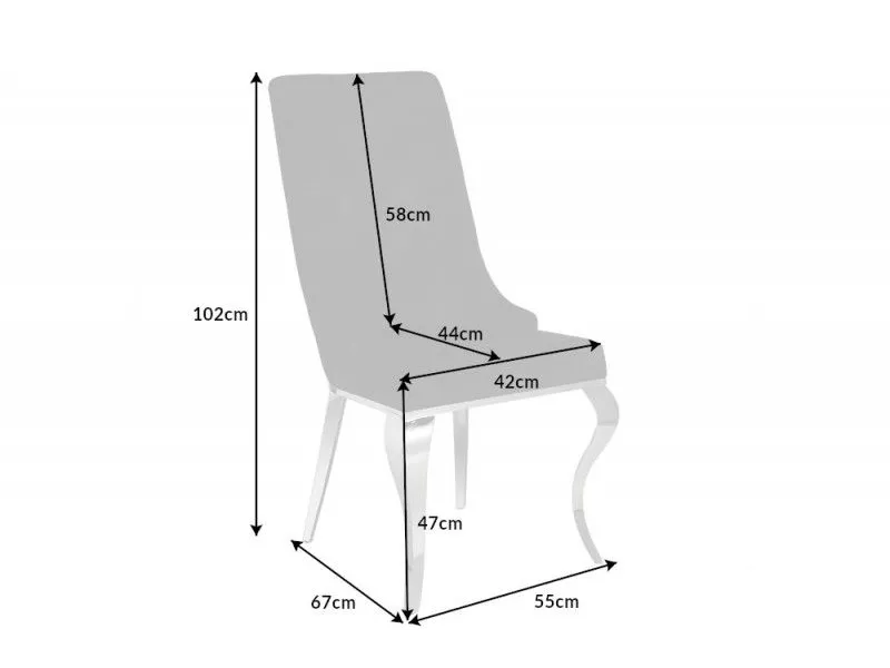 Lot de 2 Chaises de château en velours noir piètement en acier inoxydable, tête de lion argenté