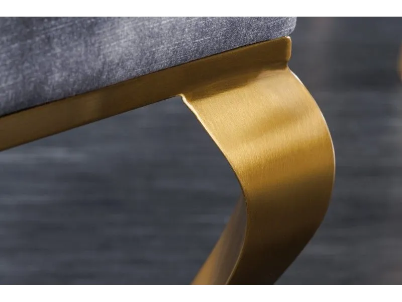 Lot de 2 Chaises de château en velours gris piètement en acier inoxydable, tête de lion doré