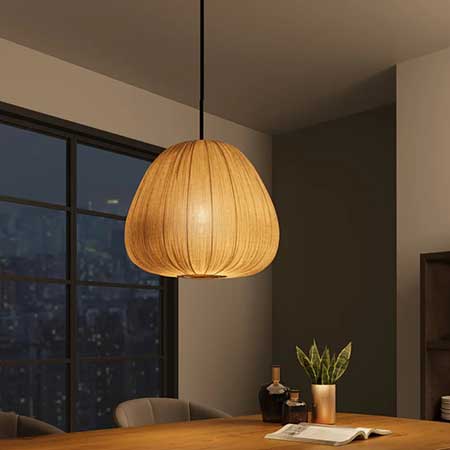 luminaire